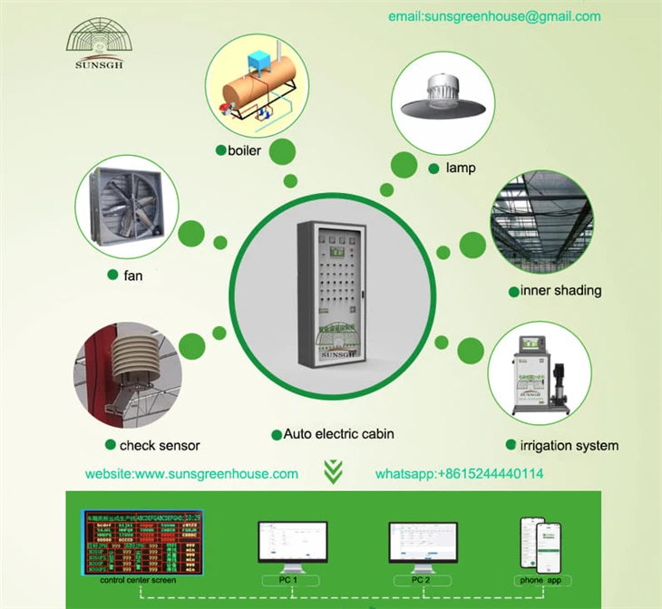 PC Greenhouses Glass Greenhouse For Vegetables Exhibition Hall Farm With Hydroponics System