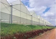 Staklenik s filmskim pokrivačem nazubljenog krova