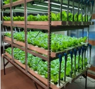 Iot u stakleničkoj poljoprivredi/Internet stvari/Inteligentni kontroler/Bežični Iot sustav/Sustav za praćenje tereta