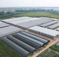 Farma staklenika od plastične folije s unutarnjim/vanjskim sustavom zasjenjenja